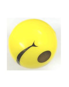 EXERCISE BALLS